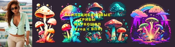 a pvp Дмитров