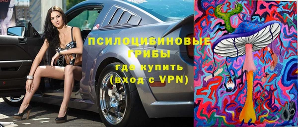a pvp Дмитров