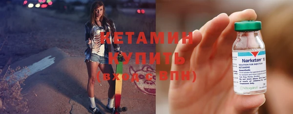 соль ск Дмитриев