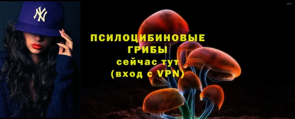 a pvp Дмитров