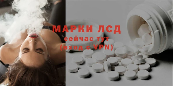 соль ск Дмитриев