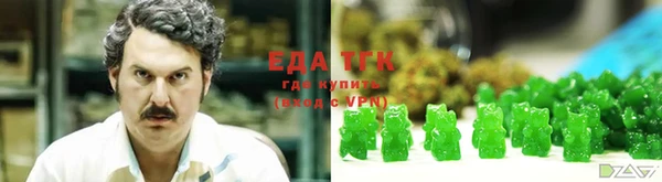 соль ск Дмитриев