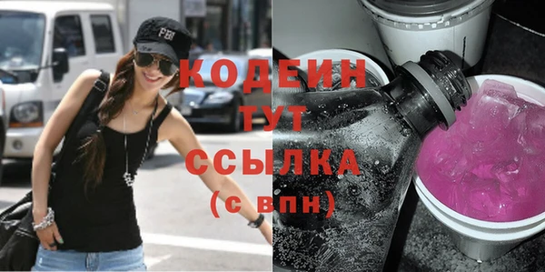 соль ск Дмитриев