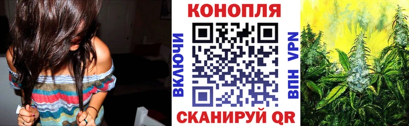 Купить  Малая Вишера  Марихуана план 